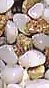 stone for environment