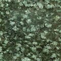 green granite slab