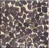 cobble stone tiles
