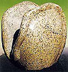 Chinese stone flowerpot for garden
