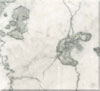 flower white marble