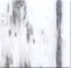 fog white marble