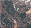 Chinese marble slab M2571
