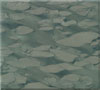 Chinese marble slab M2682