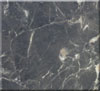 Fossil Brown Marble