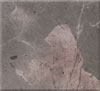 pink-gray marble,