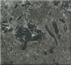 fossil black marble